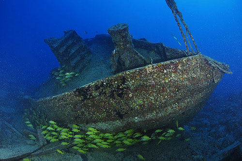 wreck dive joe's tug key west