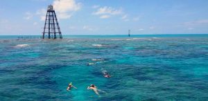 Snorkel Key West
