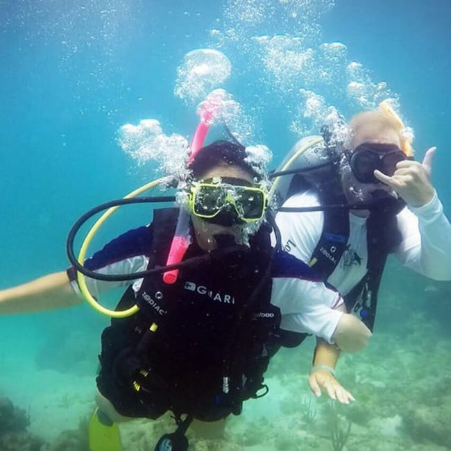 dive snorkel trips key west 650x650 - Daily Dives, Snorkel, & Cruises