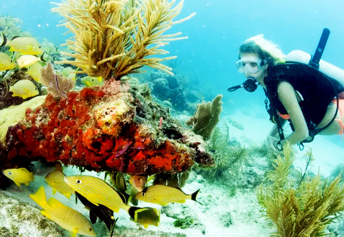 sambos reef key west snorkeling - Scuba Diving & Snorkeling Locations