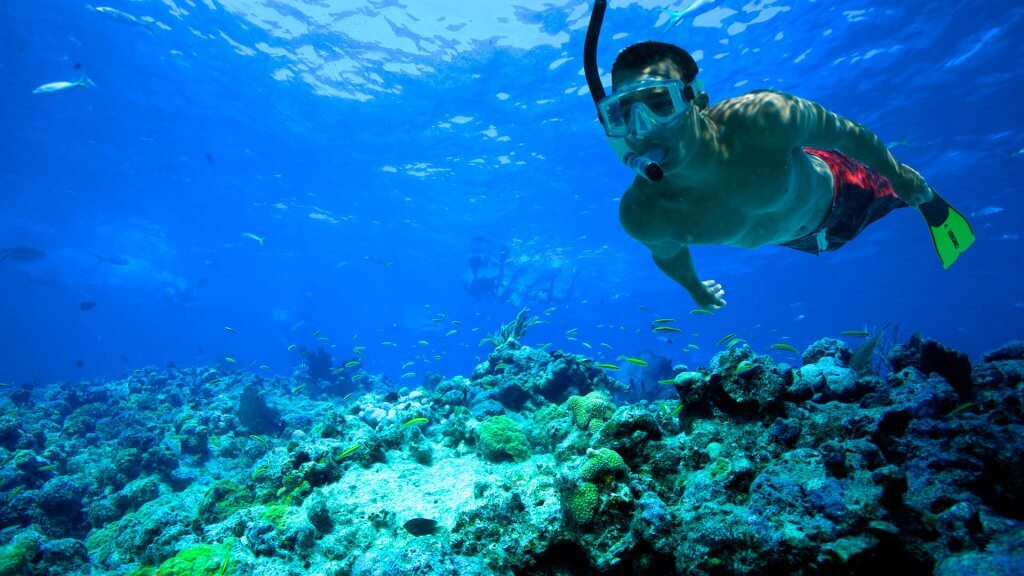 Snorkeling Key West