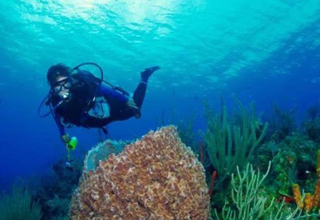 Checkout Dive Course, Key West, FL