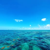 Contact Lost Reef Adventues in Key West
